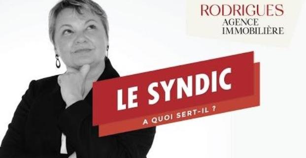 Agence Immobilière Rodrigues | Le syndic, a quoi sert-il ?